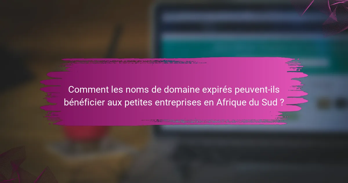Comment les noms de domaine expirés peuvent-ils bénéficier aux petites entreprises en Afrique du Sud ?
