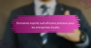 Valeur significative des domaines expirés sud-africains pour les entreprises locales