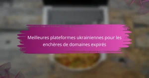 Meilleures plateformes ukrainiennes pour les enchères de domaines expirés