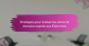 Stratégies pour évaluer les noms de domaine expirés aux États-Unis