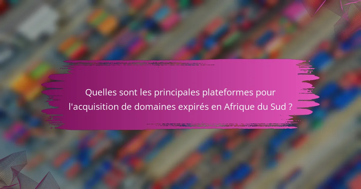 Quelles sont les principales plateformes pour l'acquisition de domaines expirés en Afrique du Sud ?