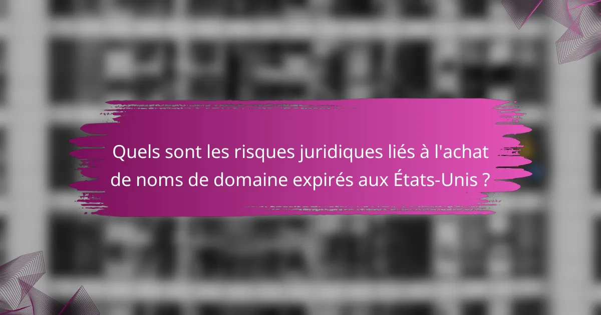 Quels sont les risques juridiques liés à l'achat de noms de domaine expirés aux États-Unis ?